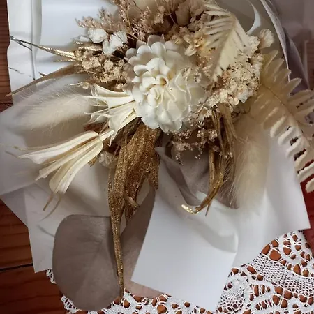 Riverside Avo - Martin * Spodnja Idrija