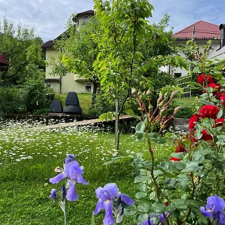 Apartma Riverside Avo - Martin