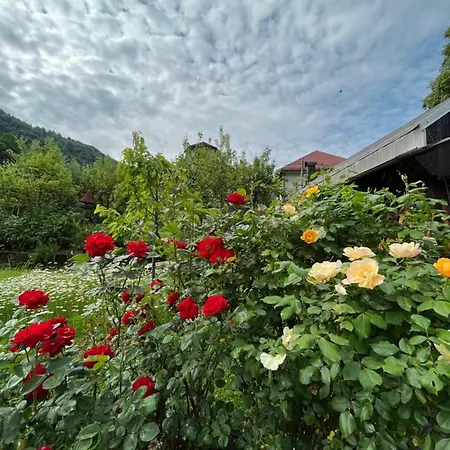 Apartment Riverside Avo - Martin Spodnja Idrija