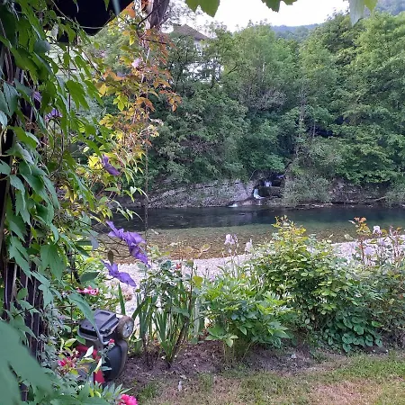 Riverside Avo - Martin * Spodnja Idrija