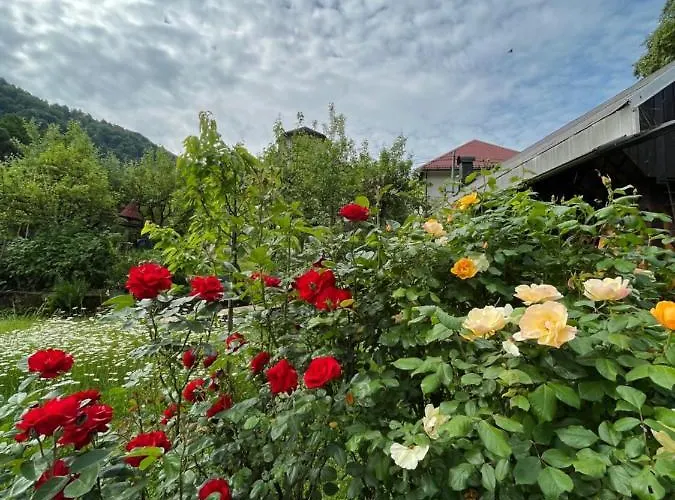 Апартаменты Riverside Avo - Martin Нижняя Идрия